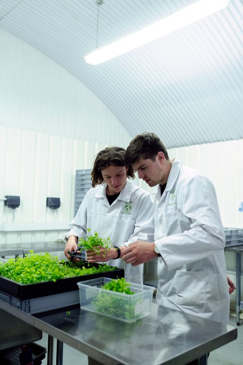 Controlling your environment in an Indoor Agricultural operation is essential for bountiful crops
